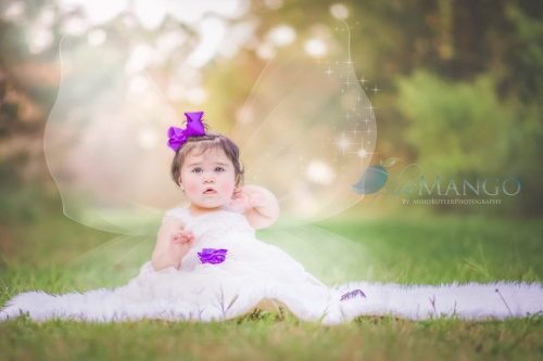 Baby-Pittman-Park